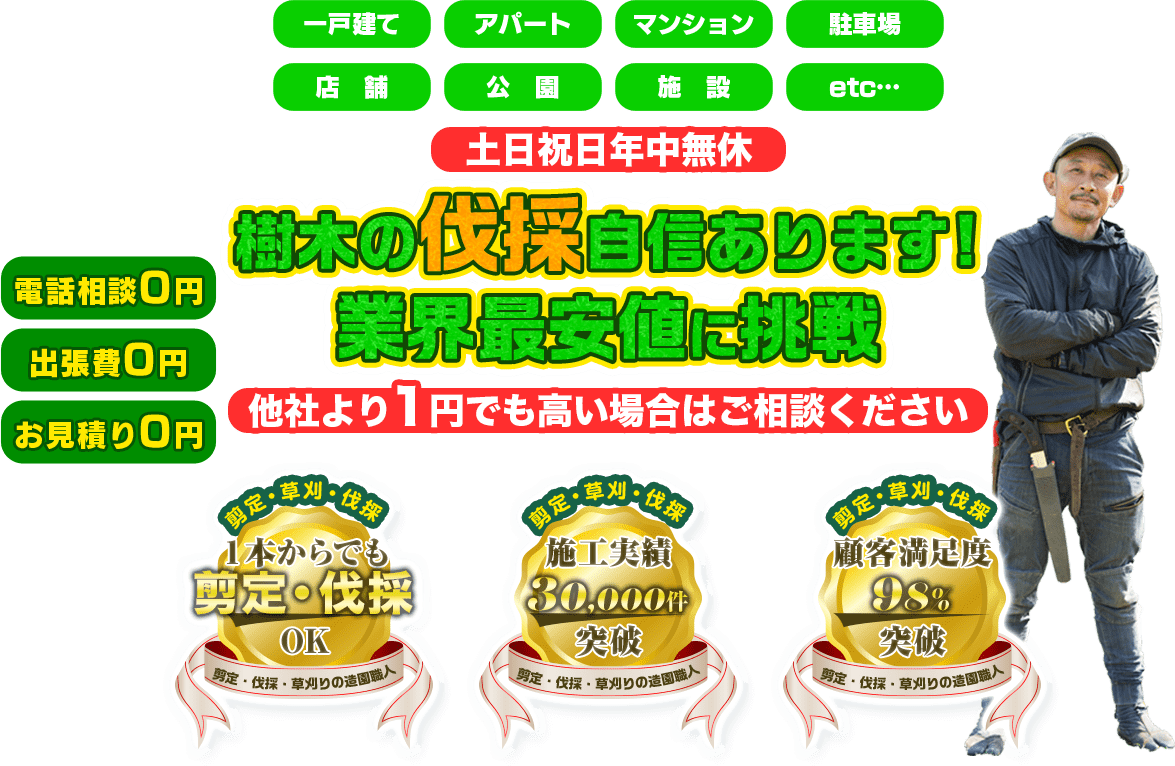 樹木の伐採自信あります! 業界最安値に挑戦